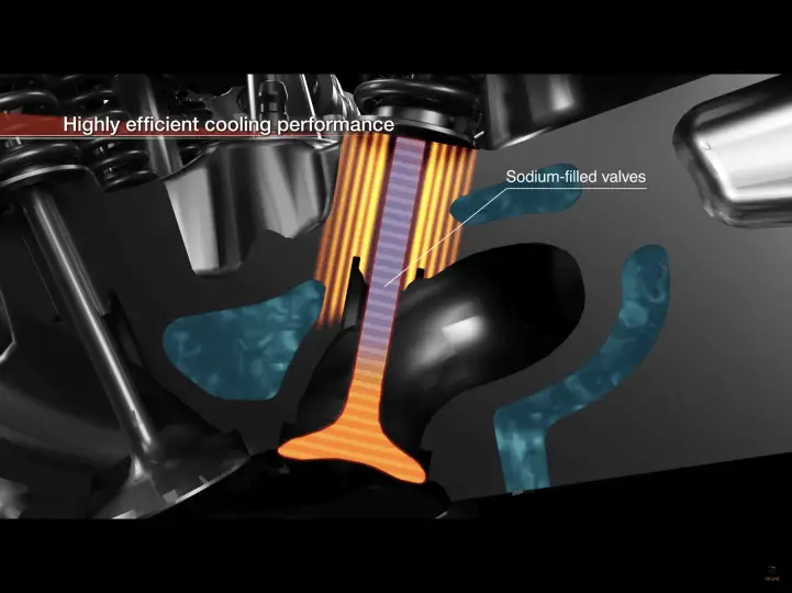 Viking Honda Engine 6